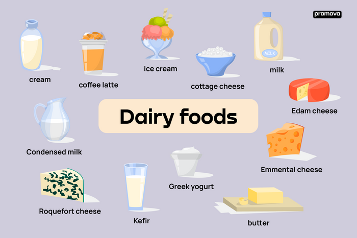 what-is-dairy